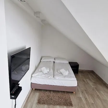 Gesi Puch Гонски