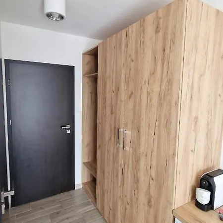 Gesi Puch Гонски